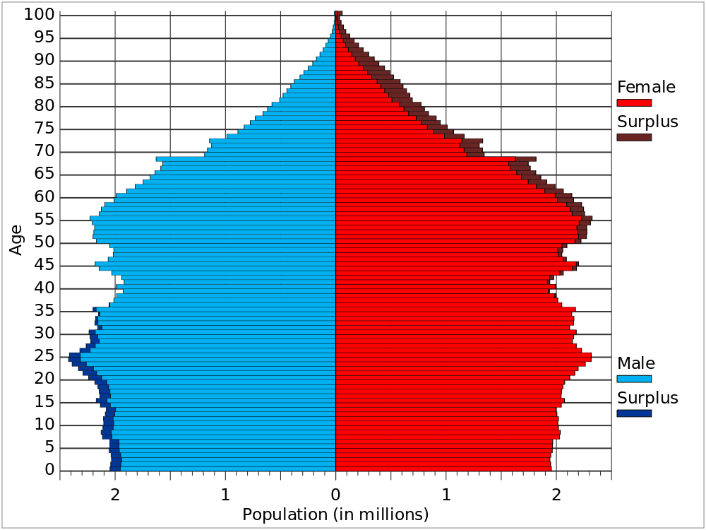 USA Age Demographics