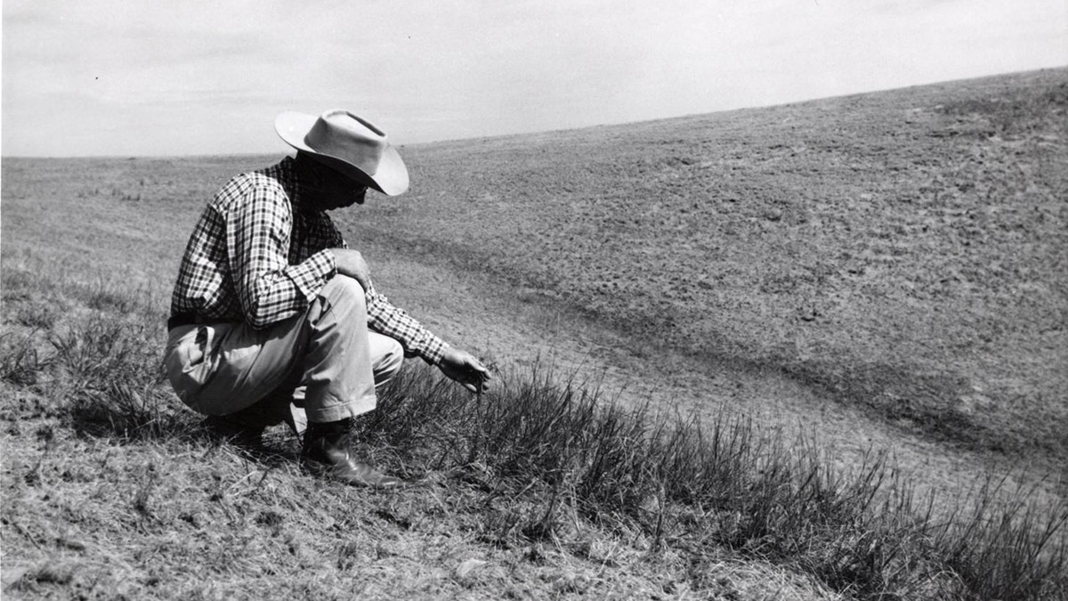 Land ownership has long been associated with middle class ascendancy.