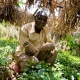 Developing world struggles to transition from farming to manufacturing
