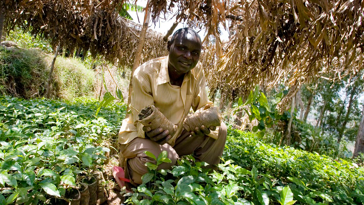 Developing world struggles to transition from farming to manufacturing
