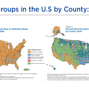 Ethnicity by County in the U.S.: 2020
