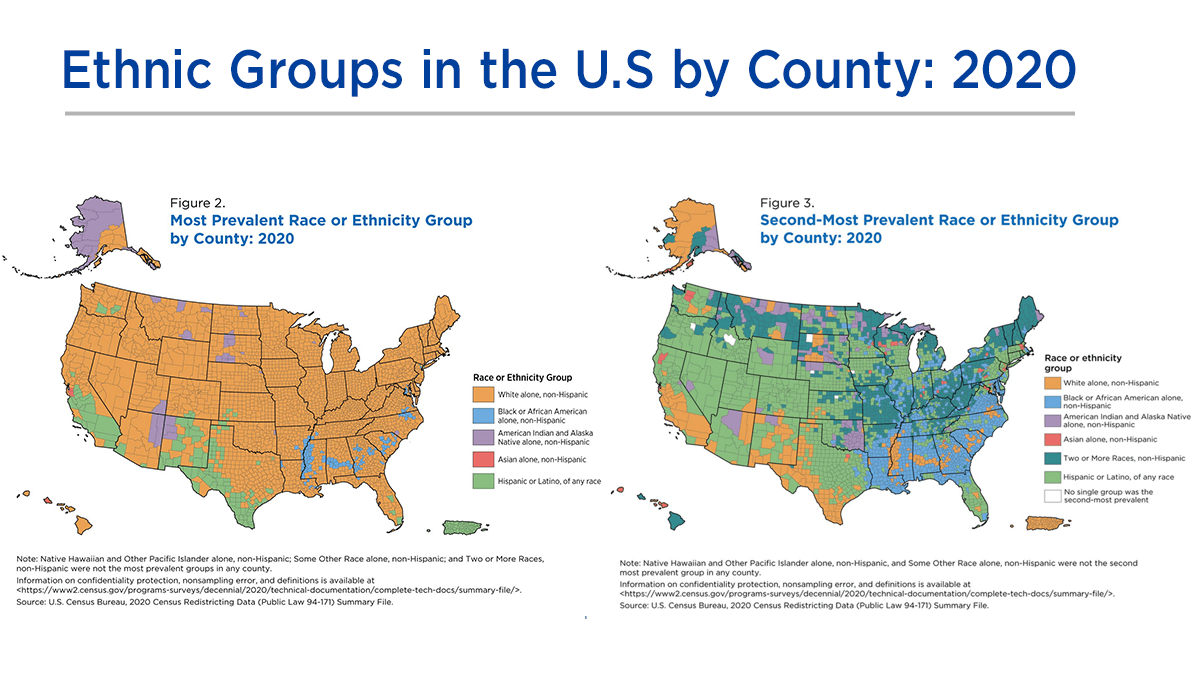 Ethnicity by County in the U.S.: 2020