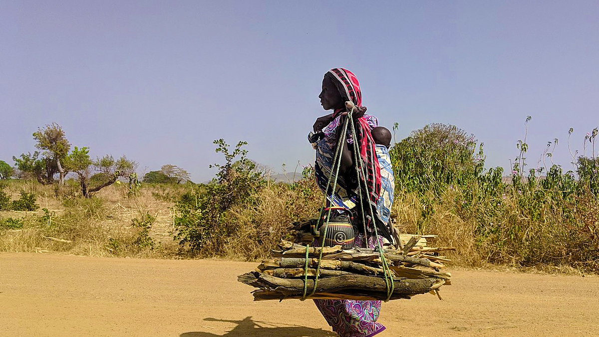 Reparations is a trap, unlikely to help those in poverty, or address climate change