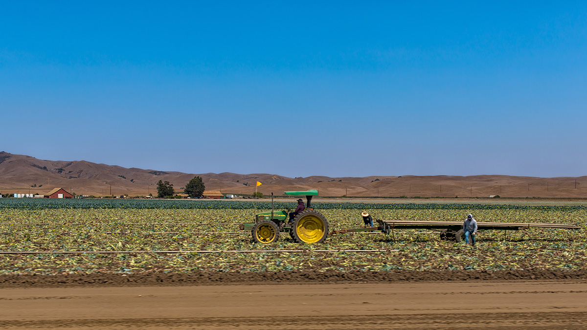 California's agriculture technology is an area where the state excels