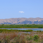 Solano County is the site of a new city planned by Silicon Valley billionaires